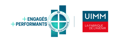 Logo_RSE-UIMM-500x182